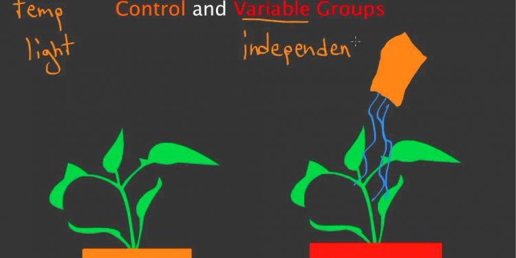 Control and Variable Groups