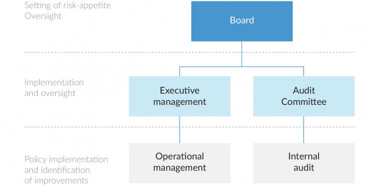 Internal control and risk