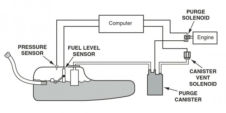 EVAP System