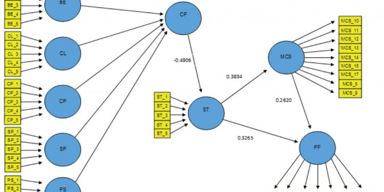 Management Control System;