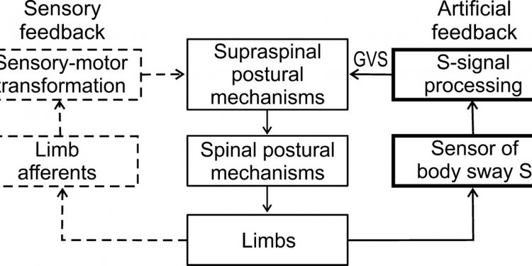 Comparison between feedback and feedforward control system