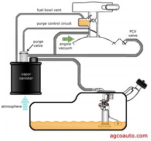 EVAP System Digram Drawing