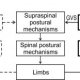 Comparison between feedback and feedforward control system