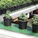Greenhouse Automation