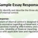 Sample internal control system