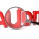 What is internal control system in Auditing?