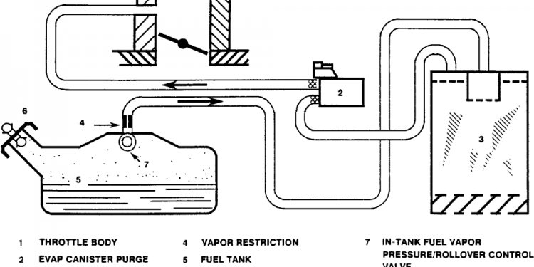 EVAP Emission control system