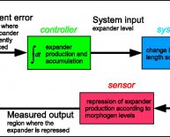 Feedback control