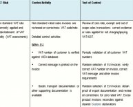 Internal control system Examples