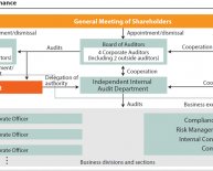 Internal control system in an organization