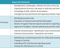 What are internal control systems?