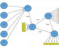 What is Management control systems?