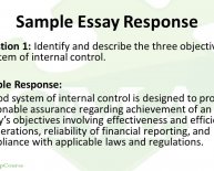 Sample internal control system